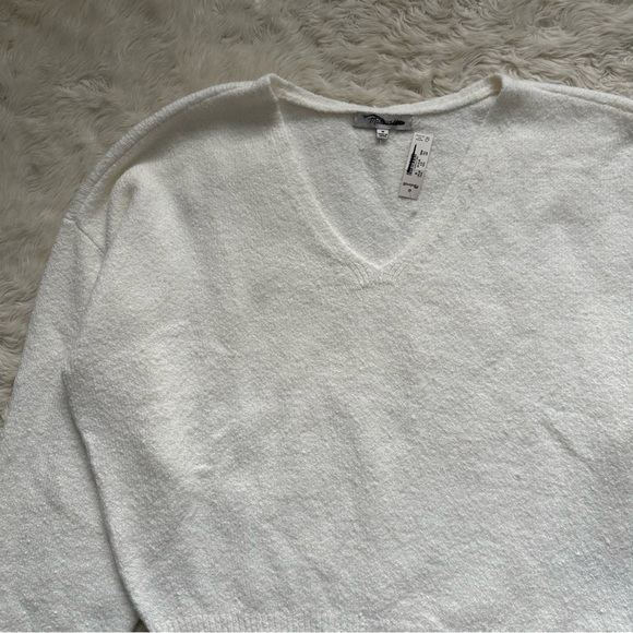 Madewell Wedged V-Neck Sweater Long Sleeve Slouchy Relaxed Winter White M NWT - Picture 6 of 12